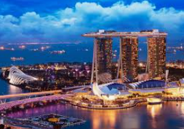 ledong网页版入口2024最新版