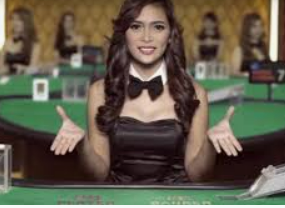 ledong网页版入口电脑免费版