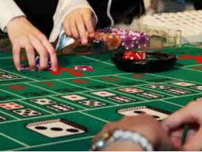 ledong网页版入口免费版